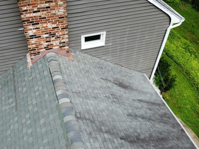 Before: Stains & Algae