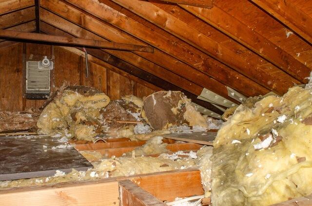 Nasty Insulation