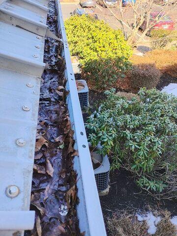 Leaves and debris
