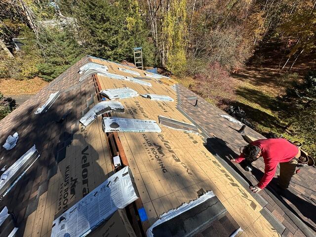 The New Shingles Go On