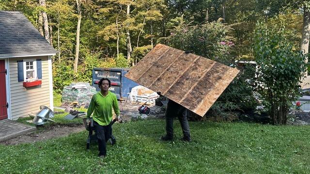 Bad Plywood Is Removed
