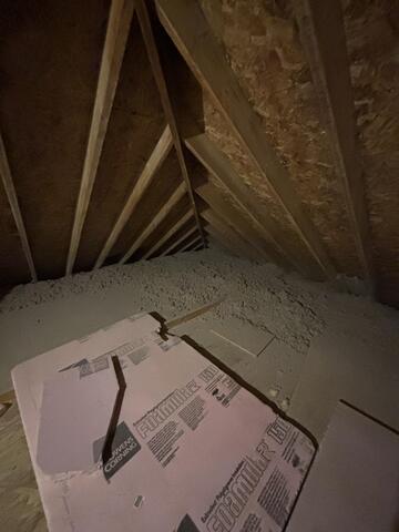 Cellulose Installed