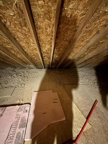 Cellulose and Plywood