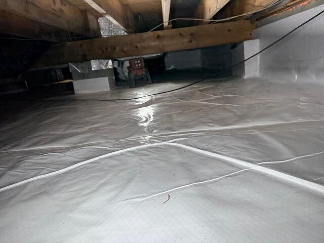 CleanSpace