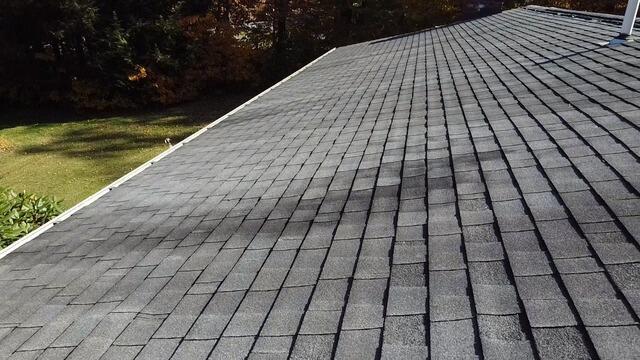 Before: Leaking Roof