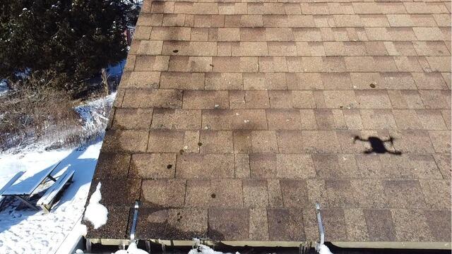 Before: Patchy and Mossy