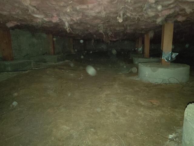 Crawlspace 1 Before