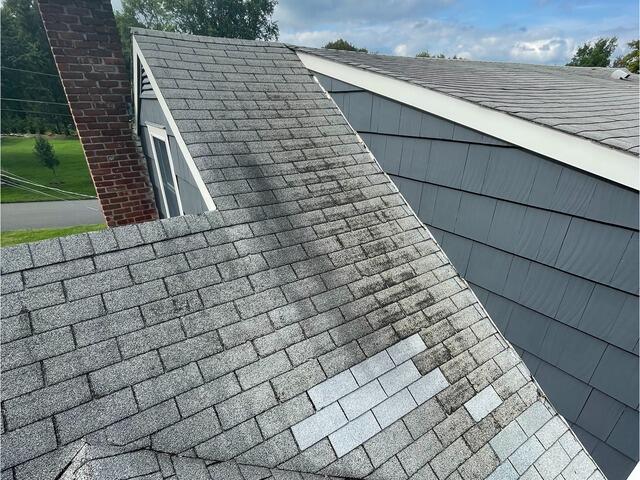 Before: Algae & Mismatched Shingles