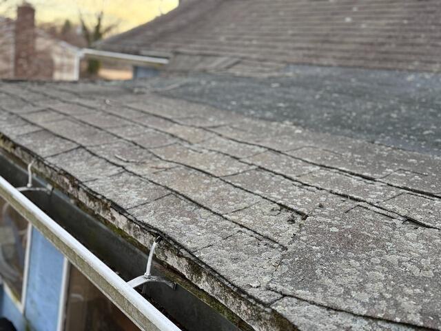 Before: Shingle Situation
