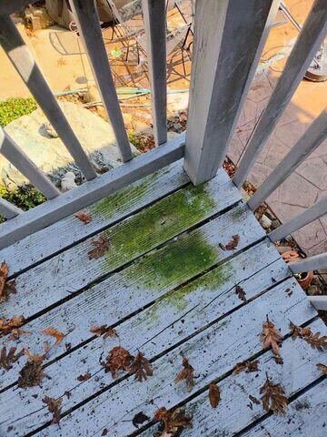 Deck before cleaning
