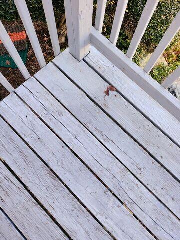 Deck after cleaning