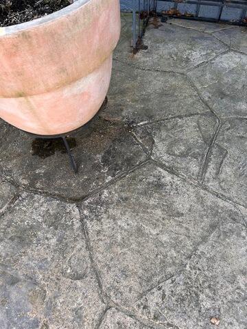 Patio before cleaning