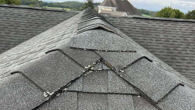 Before: Lichen & Lifting Shingles