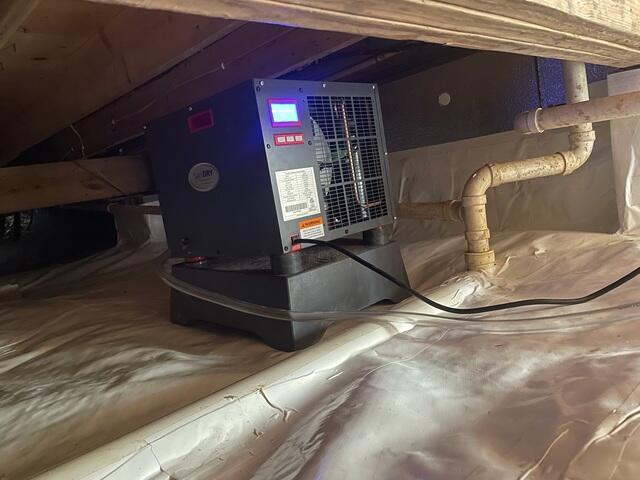 SaniDry Sedona Dehumdifier