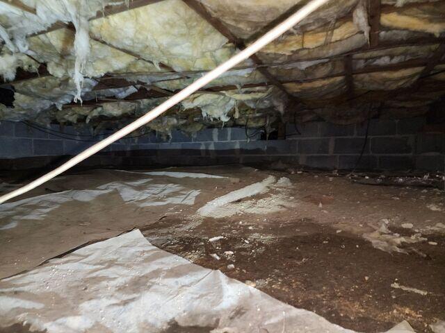 Crawl Space