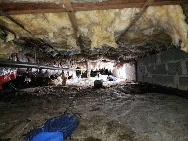Damp Crawl Space