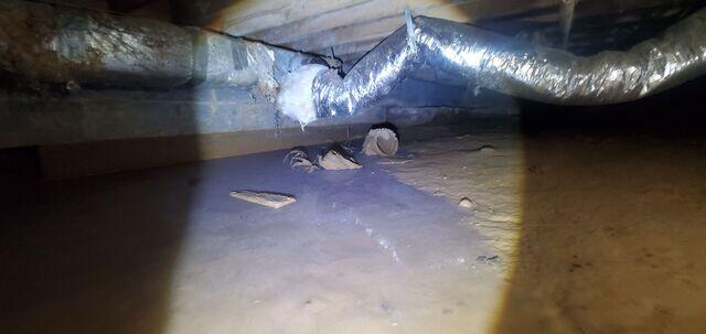 Before Waterproofing