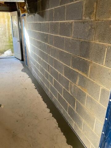 WaterGuard Drainage System