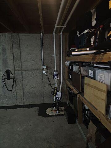 TripleSafe™ Sump Pump