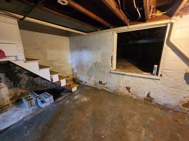 Damp Basement