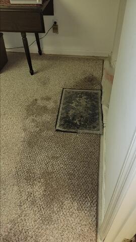 Damp Basement Conditions