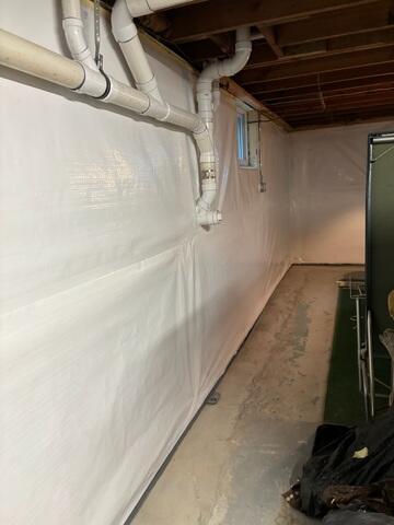 CleanSpace