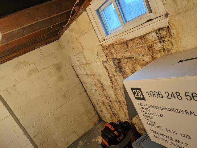 Water Damage and Mold