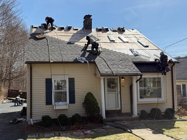 The New Shingles Go On