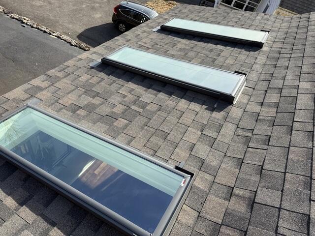 The New Skylights