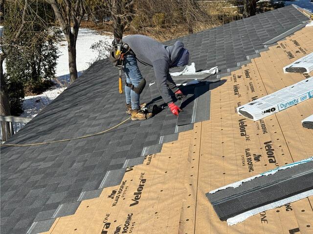 The New Shingles Go On