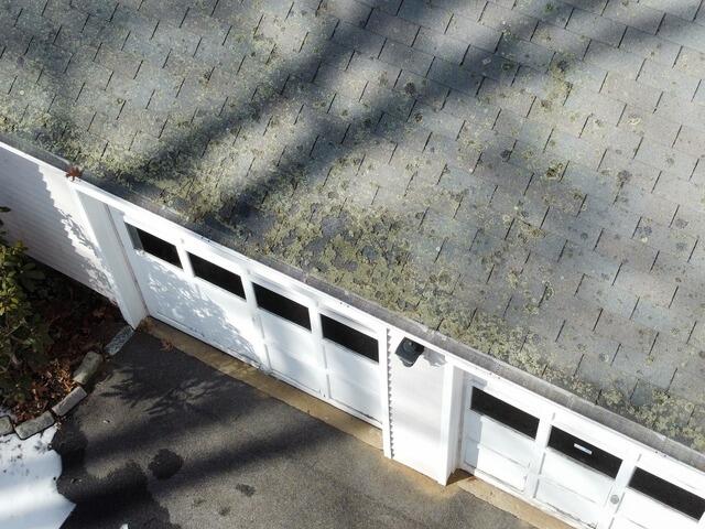 Before: Shingle Deterioration