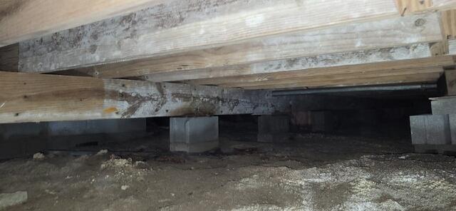 Dirty Crawl Space