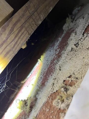 Disintegrating Support Columns