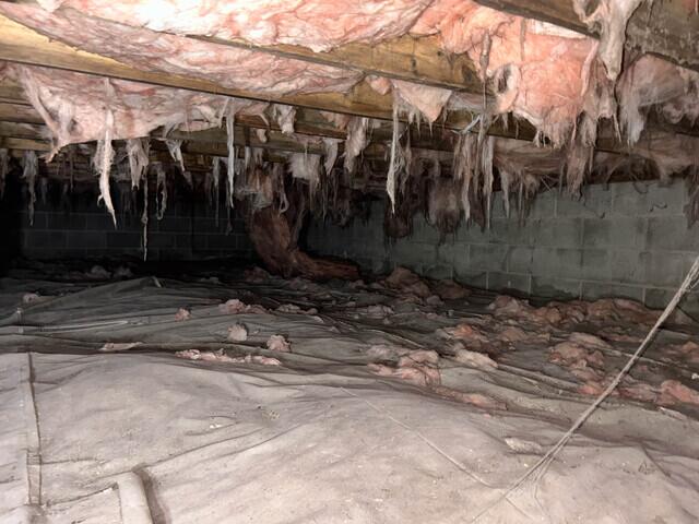 Prior to Crawlspace Encapsulation