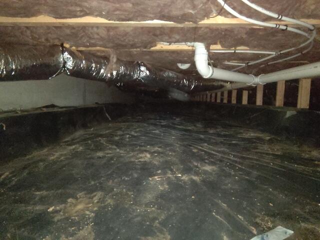 Crawlspace (Before)
