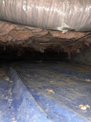 Before Waterproofing
