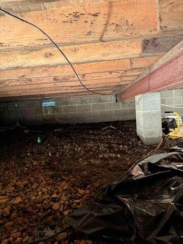 Before Waterproofing