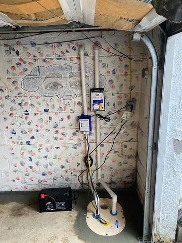 TripleSafe Pumps Water Out