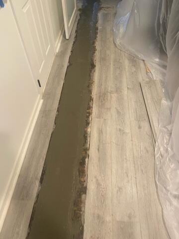 WaterGuard Drainage System
