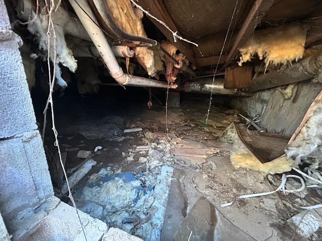 Crawl Space During Inspection