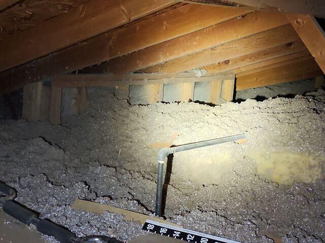 Cellulose finishing touches.