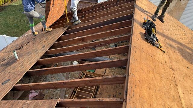 Bad Plywood Is Removed