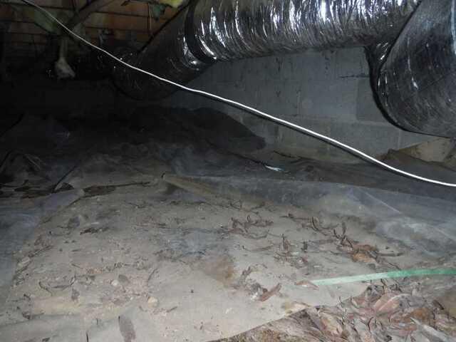 Existing Liner
