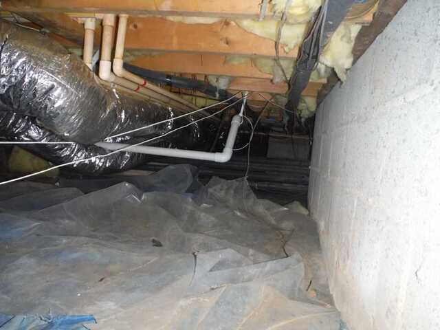 Existing Liner
