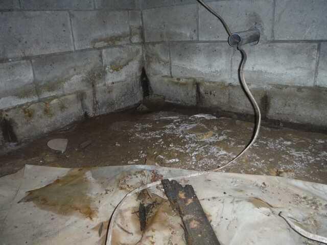 Prior to Encapsulation