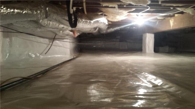 CleanSpace