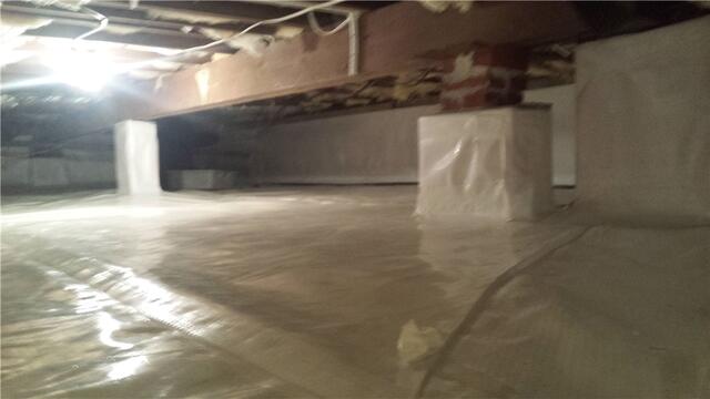 CleanSpace