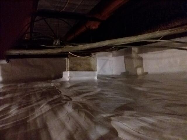 CleanSpace