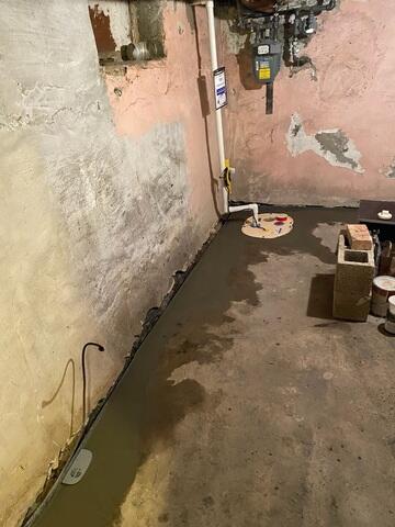 TripleSafe Sump Pump