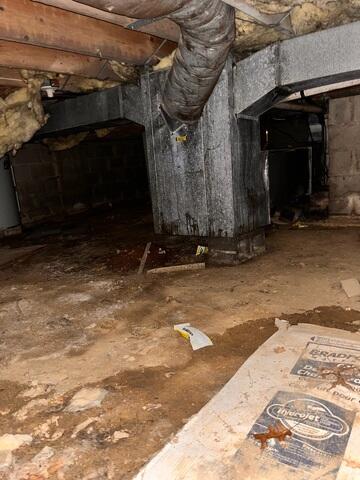 Crawl Space